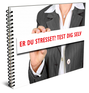 stresstest_grafik
