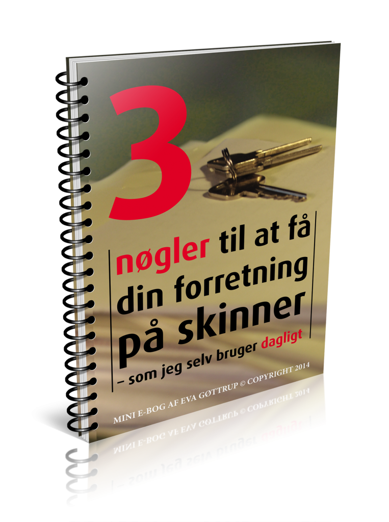 3 nøgler e-bog