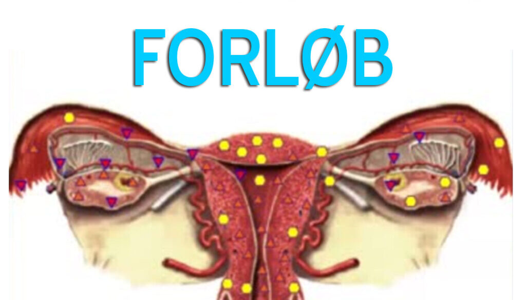 Bioresonans forløb