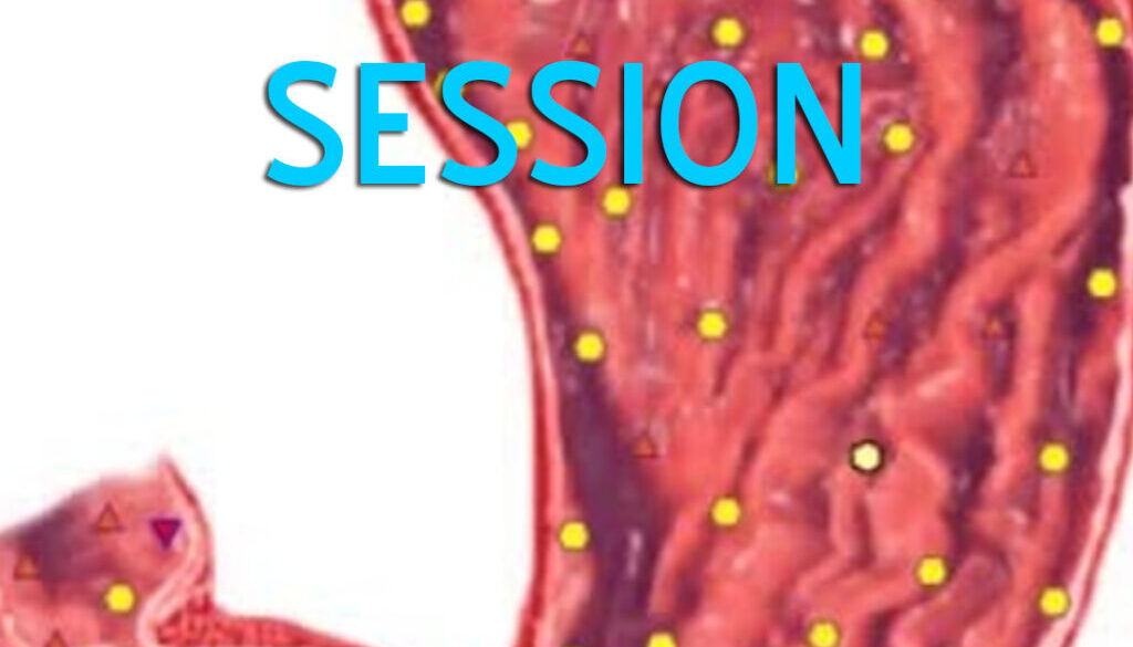 Bioresonans session