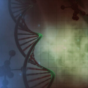 dna 1 dna 1